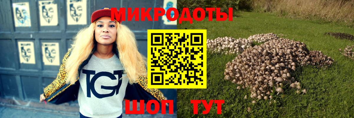 Галлюциногенные грибы Psilocybine cubensis Саранск