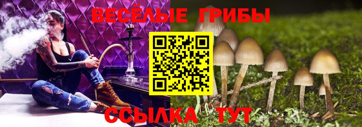 Галлюциногенные грибы MAGIC MUSHROOMS  Вход с VPN  купить  цена  Саранск 